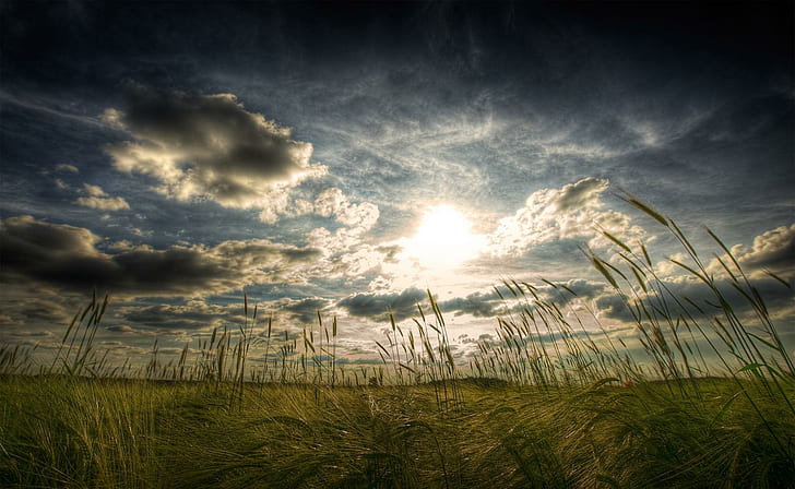 Sunset Over Wheat Field, cloudy sky, flield, wheat, sunset, clouds, nature and landscapes, HD wallpaper