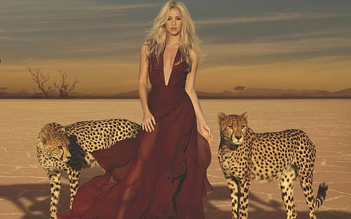 shakira leopard desert cantante, Sfondo HD HD wallpaper