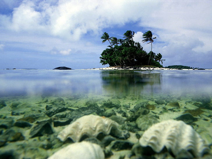 paisaje, mar, tropical, isla, palmeras, Fondo de pantalla HD
