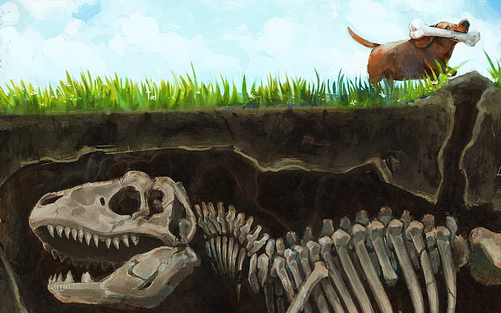 Kunstwerk, Knochen, Dinosaurier, Hund, geteilte Ansicht, HD-Hintergrundbild