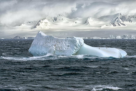 grand iceberg flottant au milieu de l'océan, nature, iceberg, flottant sur, milieu, océan, Christopher Michel, antarctique, pingouin, icebergs, polaire, nsf, glace, magnifique, iceberg - Formation de glace, arctique, pôle Sud, islande, mer,glacier, nord de l'Alaska, neige, pôle Nord, froid - Température, climat polaire, eau, Groenland, bleu, Fond d'écran HD HD wallpaper