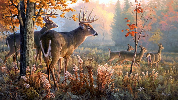 wildlife, deer, painging, fauna, artwork, wilderness, white tailed deer, painting art, woodland, forest, tree, grass, autumn, landscape, HD wallpaper