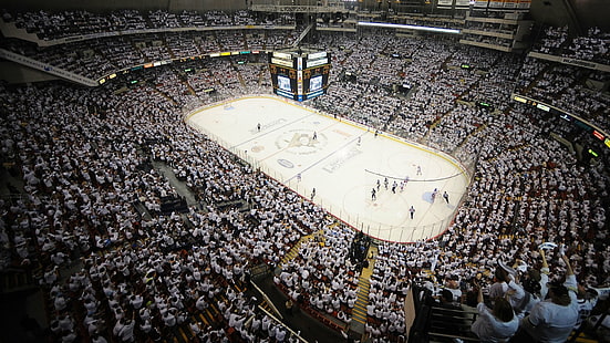 하키, NHL, 펭귄, 피츠버그, HD 배경 화면 HD wallpaper