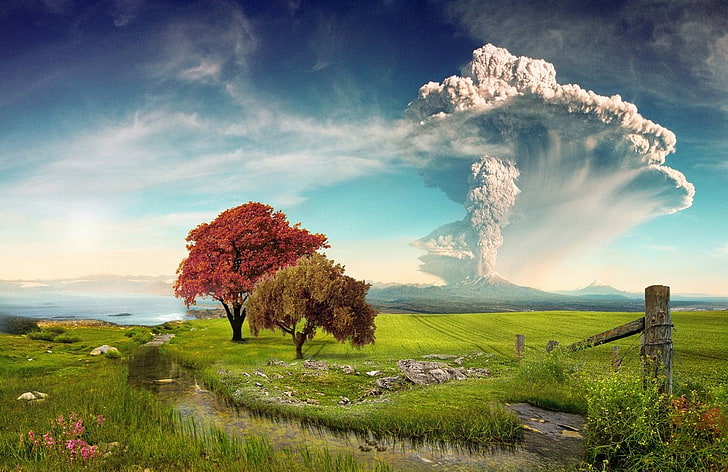 Calbuco Volcano, Chile, creeks, eruption, field, grass, lake, landscape, nature, Trees, Wildflowers, HD wallpaper