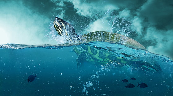 Sea Turtle, gray and black turtle clip art, Aero, Creative, Ocean, Blue, Fish, Nature, Turquoise, Underwater, Dramatic, Wave, Water, Turtle, Clouds, Waters, drama, HD wallpaper HD wallpaper