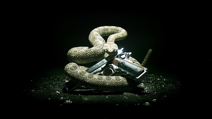 brown snake, style, gun, snake, Hitman 5, Silver baller, absolution, Hitman, HD wallpaper