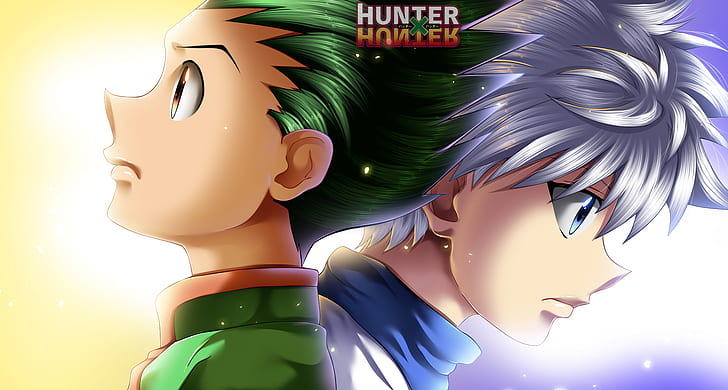 Anime, Hunter x Hunter, Gon css, Killua Zoldyck, Fond d'écran HD