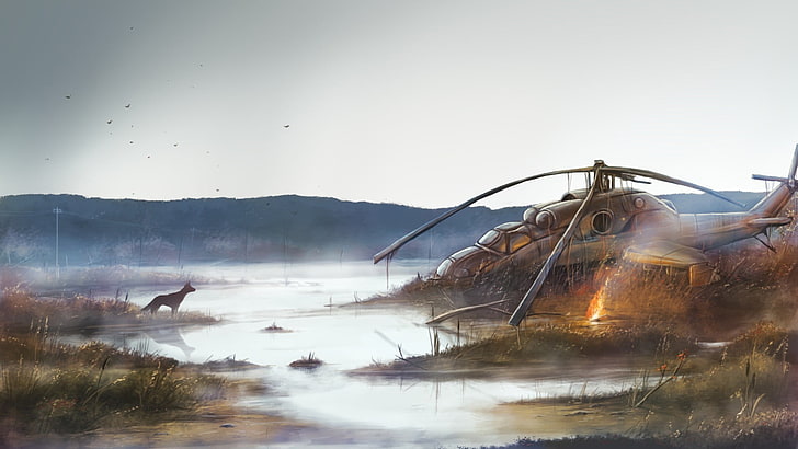 illustration of helicopter near body of water, digital art, nature, helicopters, wreck, apocalyptic, animals, dog, fire, mist, plants, birds, S.T.A.L.K.E.R., video games, fan art, Mil Mi-24, HD wallpaper