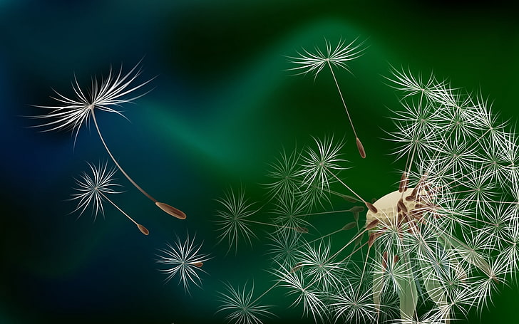 иллюстрация белого одуванчика, одуванчик, пух, муха, цветок, HD обои