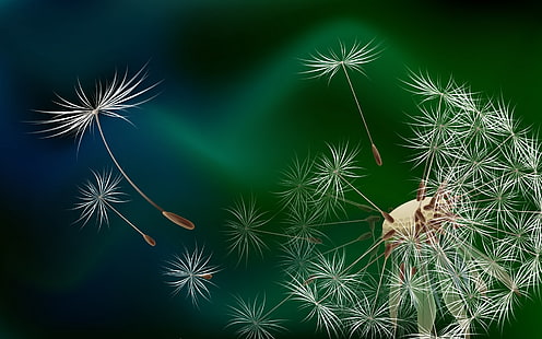Ilustración de diente de león blanco, diente de león, pelusa, mosca, flor, Fondo de pantalla HD HD wallpaper