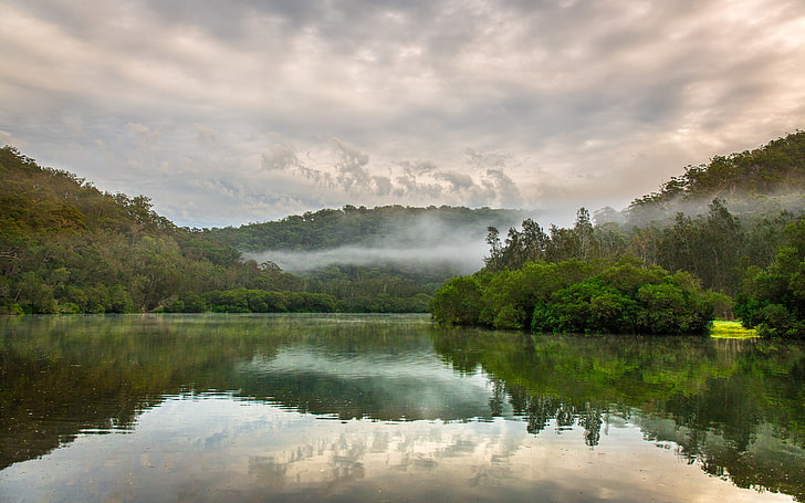 Misty Morning At Berowa Creek, australia, berowacreek, clouds, cloudy, fog, green, grey, landscape, nature, photography, rivers, sky, HD wallpaper