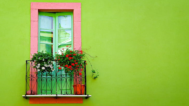 Window In Green, window, green wall, railing, flowers, animals, HD wallpaper