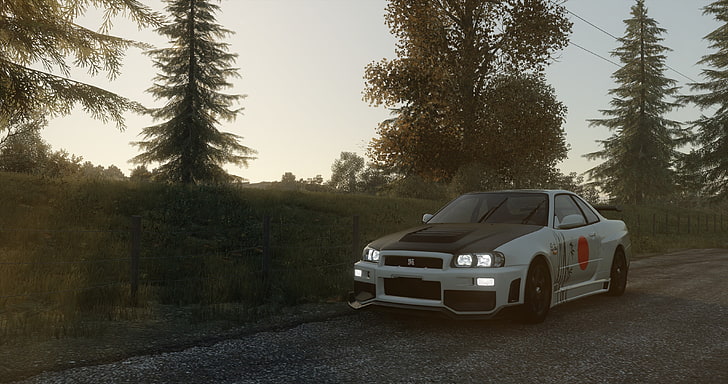 white Nissan Skyline GT-R R34 coupe, video games, The Crew, Nissan Skyline GT-R R34, Japanese cars, car, HD wallpaper