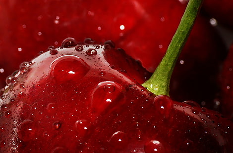 macro photography of water drops on red apple, macro photography, drops, red apple, lumix  dmc-fz30, leica, super, sweet  water, droplets, fruit, food, delicious, luscious, panasonic, cherries, gloss, drop, freshness, wet, close-up, splashing, liquid, red, nature, macro, water, HD wallpaper HD wallpaper