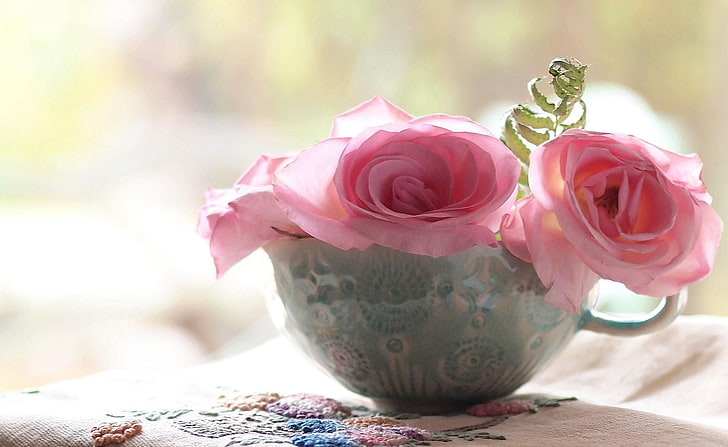 three pink roses, roses, flowers, cup, close-up, HD wallpaper
