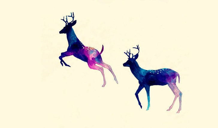 deer, white background, HD wallpaper