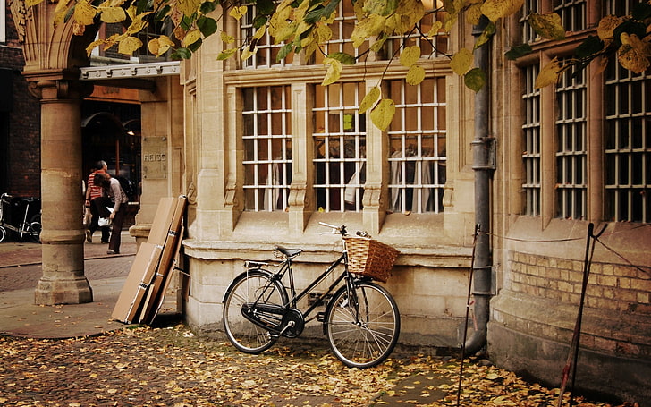 自転車、通り、人々、秋、都市、 HDデスクトップの壁紙