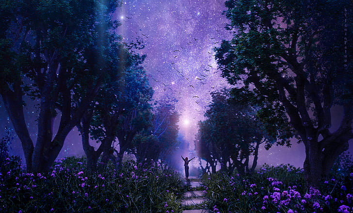 forest, starry sky, art, purple, fabulous, HD wallpaper