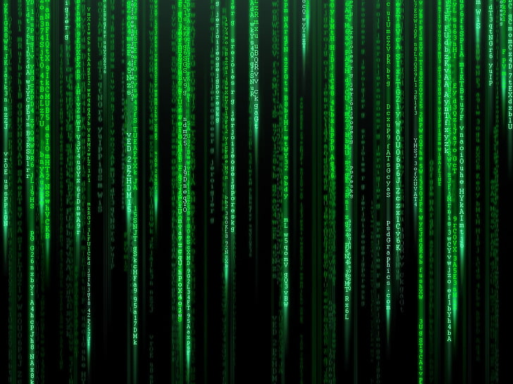 grüne und schwarze Tapete, Code, Matrix, HD-Hintergrundbild