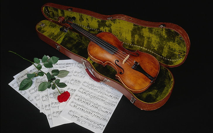 Музика, цигулка, инструмент, червена роза, нотна музика, натюрморт, HD тапет