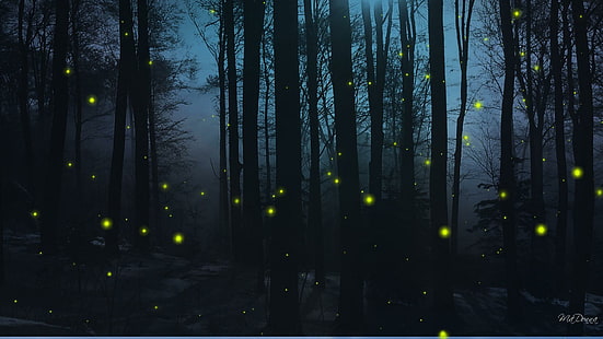 Firefly Nights, persona firefox, lasy, ciemne, drzewa, las, niebieski, panoramiczny, świetliki, noc, 3d i abstrakcyjne, Tapety HD HD wallpaper
