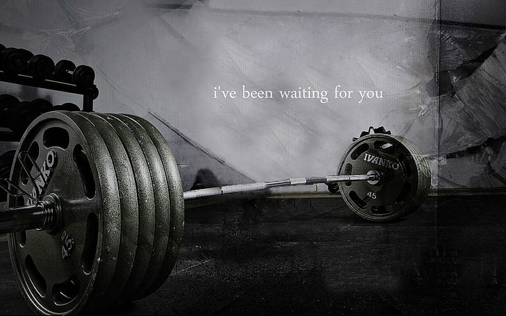 Bodybuilding quote, grayscale photography of wanko barbell, quotes, 1920x1200, weight, bodybuilding, HD wallpaper