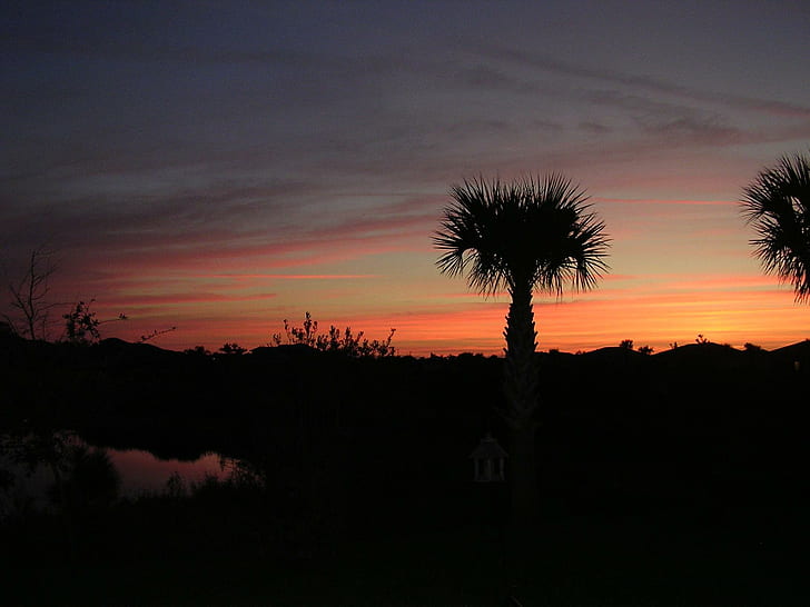 Lever du soleil en Floride, lever du soleil, 3d et abstrait, Fond d'écran HD