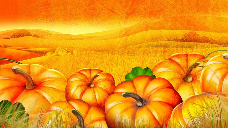 The Pumpkin Patch, firefox persona, naranja, cosecha, acción de gracias, halloween, otoño, jardín, campo, calabaza, otoño, 3d y, Fondo de pantalla HD