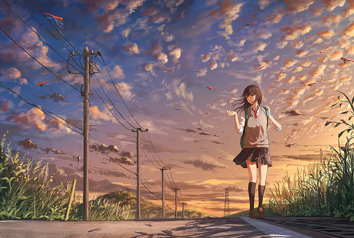 sky, schoolgirl, school uniform, nature, landscape, dragonflies, anime, power lines, HD wallpaper