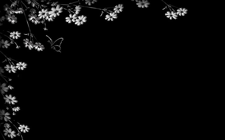 Vitt blommönster, vita blommor och fjärilsillustration, abstrakt, 2560x1600, mönster, HD tapet