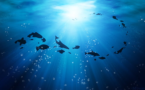 eau océan poisson silhouette 1920 x 1200 animaux poissons HD Art, eau, océan, Fond d'écran HD HD wallpaper