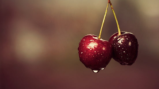 ripe cherries, macro, cherries, water drops, fruit, HD wallpaper HD wallpaper