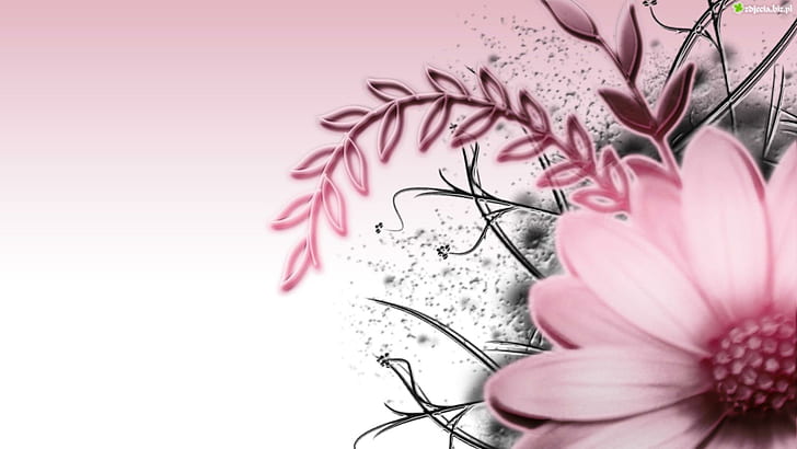 Pink & Grey, floral, seasons, pink flower, flowers, 3d and abstract, HD wallpaper