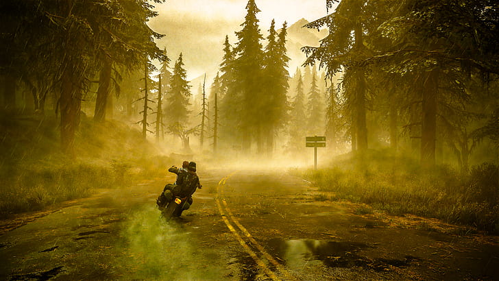 Days Gone, motocicleta, bosque, niebla, videojuegos, Fondo de pantalla HD