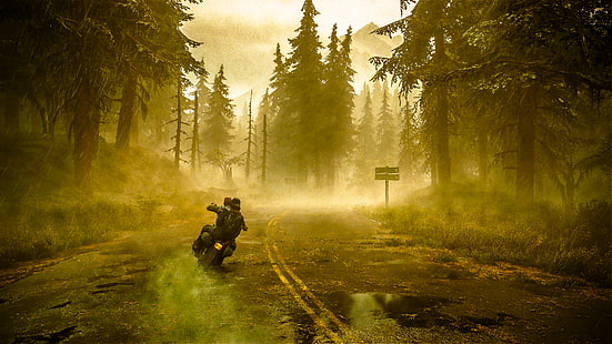 Days Gone, motocykl, las, mgła, gry wideo, Tapety HD HD wallpaper