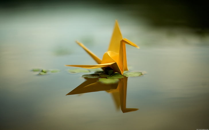brauner Schwanorigami, Origami, Papierkräne, Reflexion, Wasser, HD-Hintergrundbild