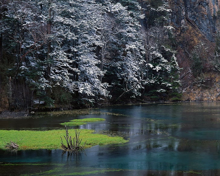 Wald, Frost, HD-Hintergrundbild