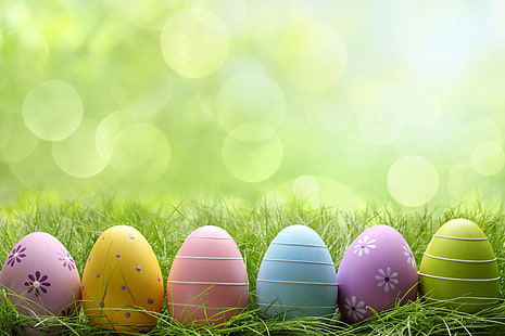 several Easter eggs, grass, glade, eggs, Easter, flowers, spring, HD wallpaper HD wallpaper