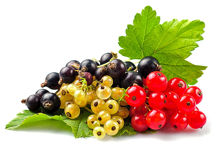 딸기, 딸기, 붉은 건포도, 검은 건포도, 흰색 건포도의 번들, HD 배경 화면