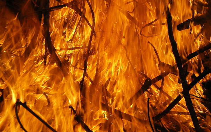fire, flames, orange, wood, HD wallpaper
