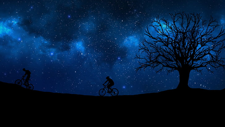 bare tree digital wallpaper, cyclist, starry sky, silhouette, HD wallpaper
