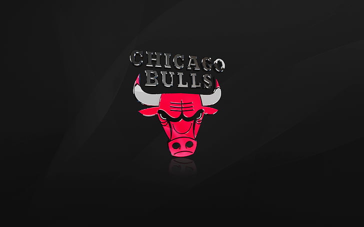 Chicago Bulls logo, Chicago Bulls, Basketball team, HD, HD wallpaper