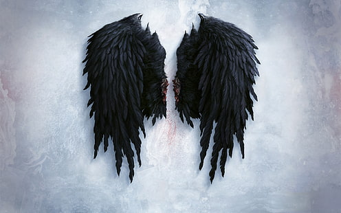 wings aion asmodian angel wings Art Black HD Art , wings, AION, HD wallpaper HD wallpaper