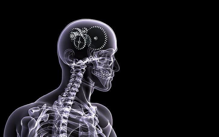 Mesin Otak, otak, otak manusia, gambar otak, latar belakang, Wallpaper HD