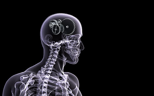 Mesin Otak, otak, otak manusia, gambar otak, latar belakang, Wallpaper HD HD wallpaper