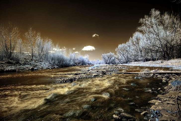 grayscale photography of body of water surrounded by trees, colorado springs, colorado springs, Infrared, HDR, Colorado Springs, grayscale, photography, body of water, trees, IR, Photomatix, nature, winter, snow, tree, ice, forest, landscape, cold - Temperature, frost, frozen, outdoors, scenics, river, season, HD wallpaper