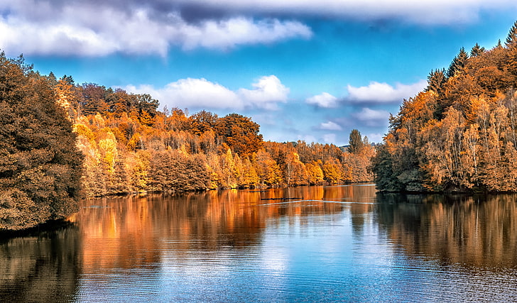 коричневое лиственное растение, осень, озеро, деревья, отражение, HD обои