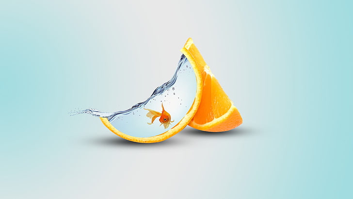 fetta di frutta arancione, arancia (frutta), pesce, arte digitale, arancia, acqua, Sfondo HD