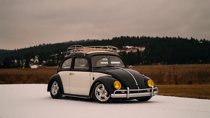Volkswagen, Beetle, Volkswagen Beetle, bug, HD papel de parede