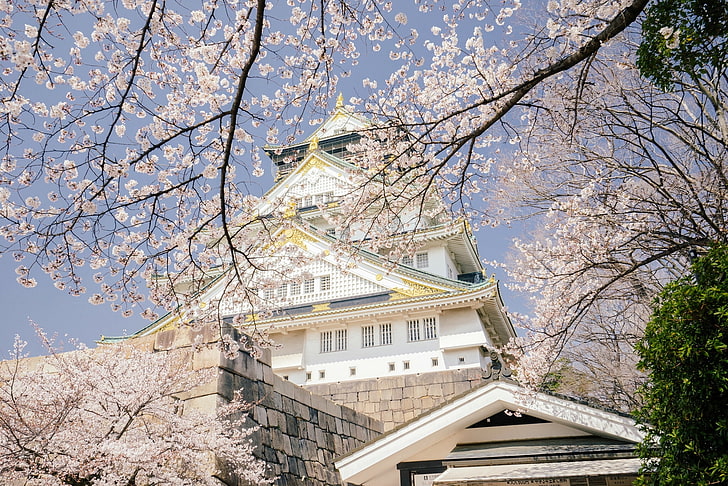 Osaka Castle, Japan, trees, branches, cherry, castle, spring, Japan, Sakura, flowering, Osaka, Osaka Castle, Osaka Castle Park, HD wallpaper